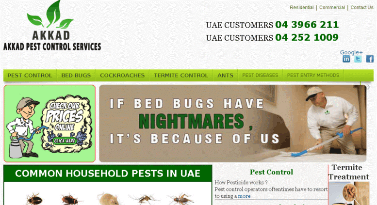 Akkad Pest Control's Homepage