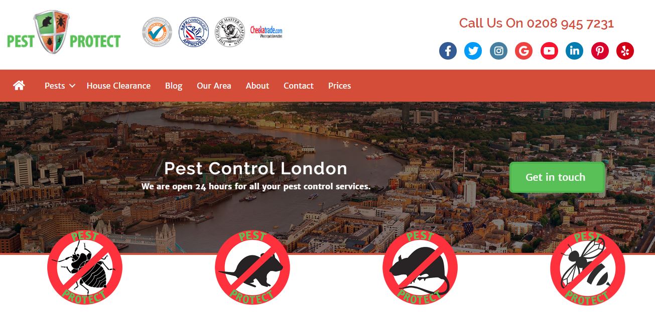 Pest Protect's Homepage