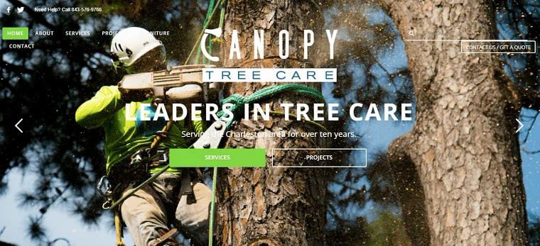 Canopy Tree Care's Homepage