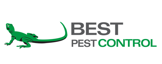 Best Pest Control's Logo