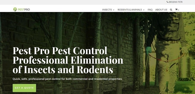 Pest Pro Pest Control's Homepage