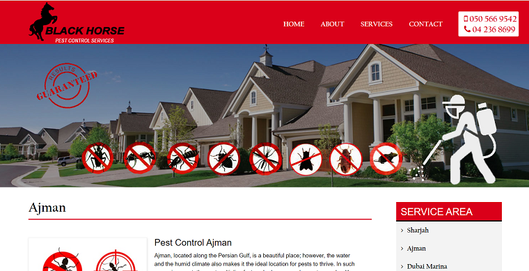 Black Horse Pest Control Services' Homepage