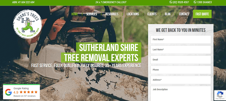 Shane’s Trees' Homepage