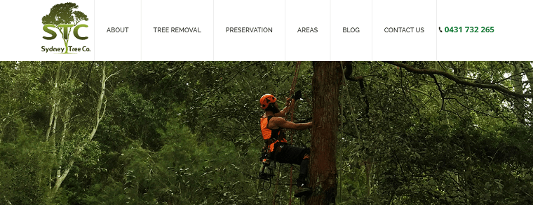 Sydney Tree Co.'s Homepage