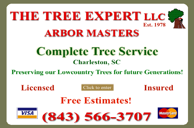 The Tree Expert LLC's Logo