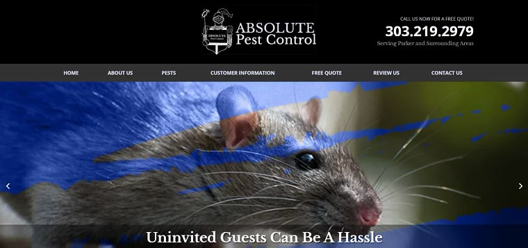 Absolute Pest Control's Homepage