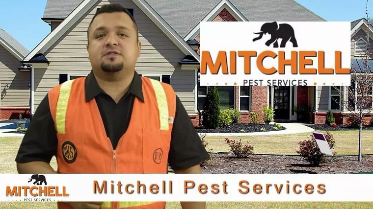 Mitchell Pest Services' Logo