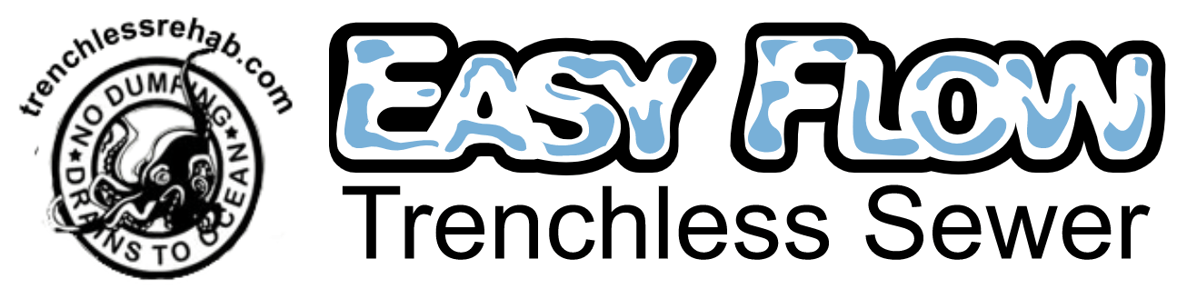 Easy Flow's Logo