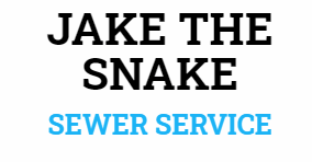 Jake The Snake's Logo