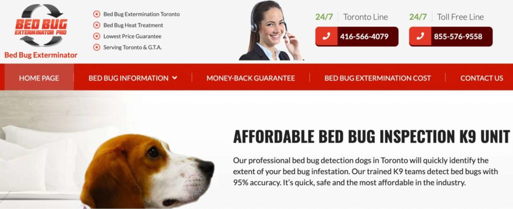 Bed Bug Exterminator Pro's Homepage