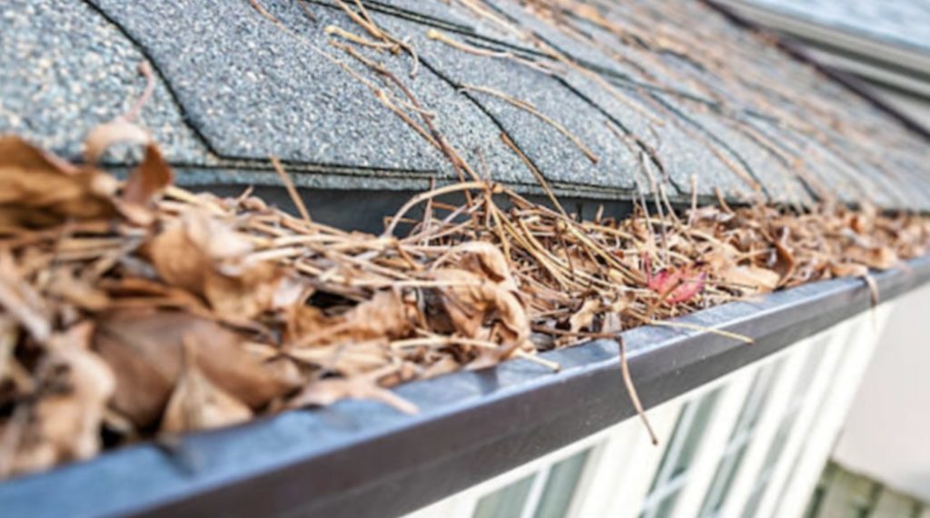 Clogged or Blocked Gutters