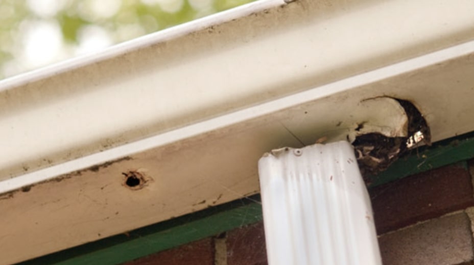 Leaking or Holed-Up Gutters