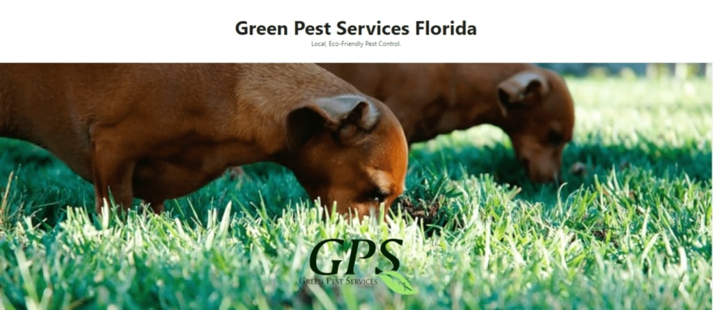 Green Pest Services Florida's Homepage